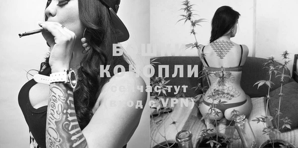 шишки Алексин