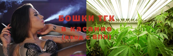 шишки Алексин