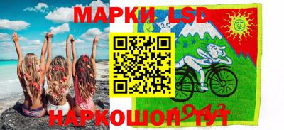 шишки Бузулук
