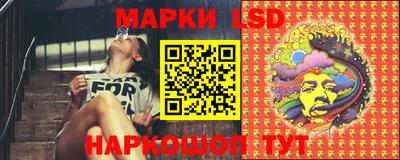 шишки Бузулук