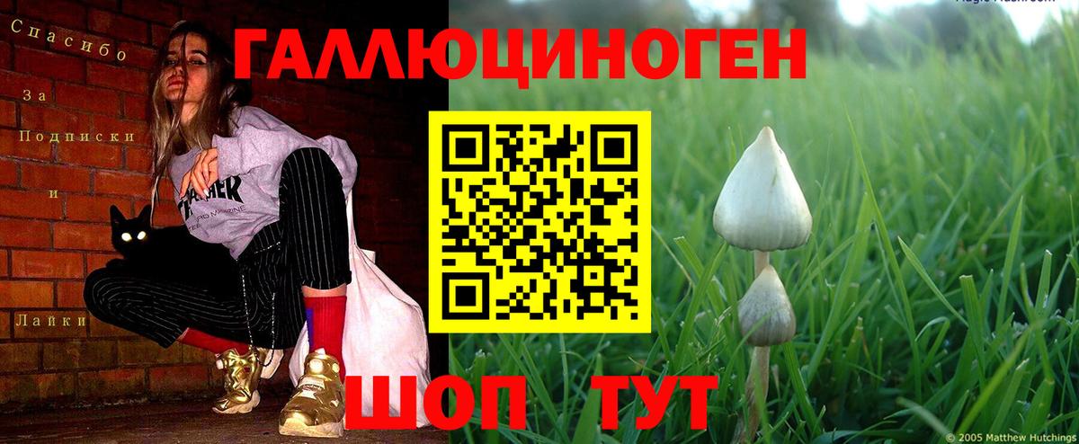 Галлюциногенные грибы ЛСД  Вход с VPN  Заводоуковск 